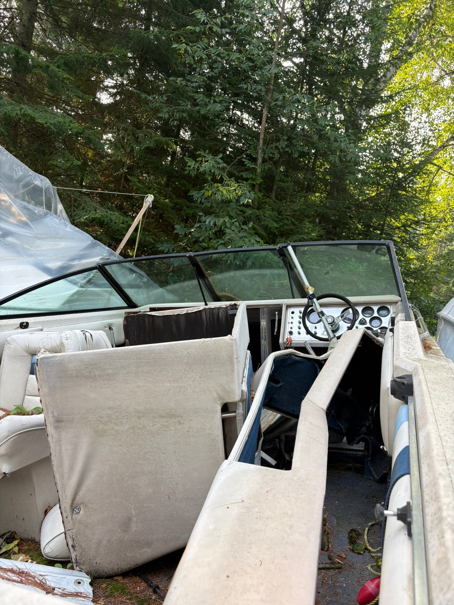 1986 Century 3-Panel Windshield