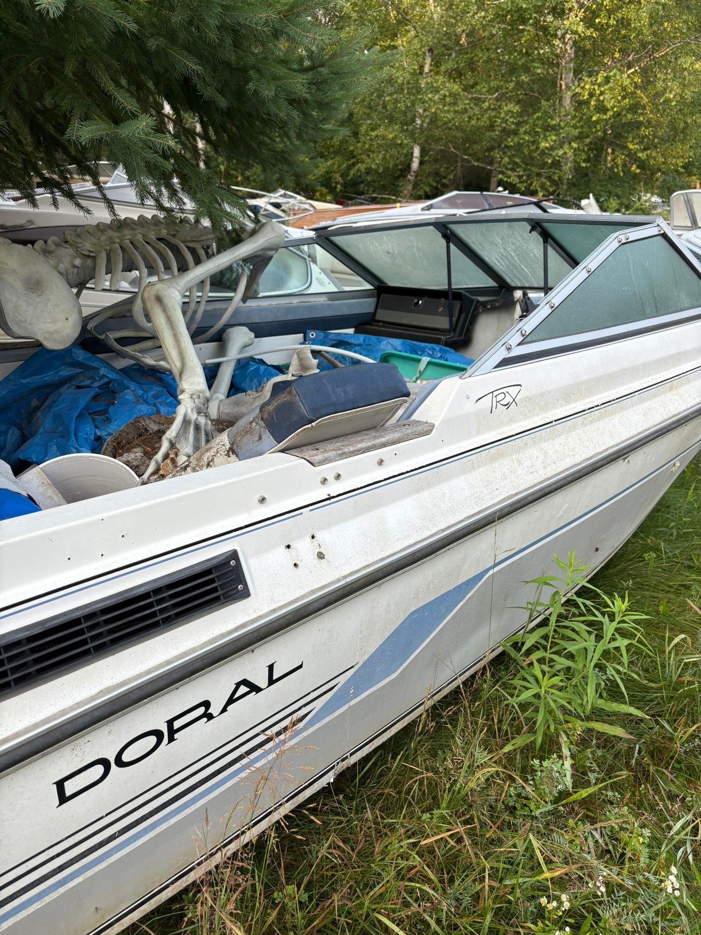 1989 Doral TRX 3-Panel Windshield