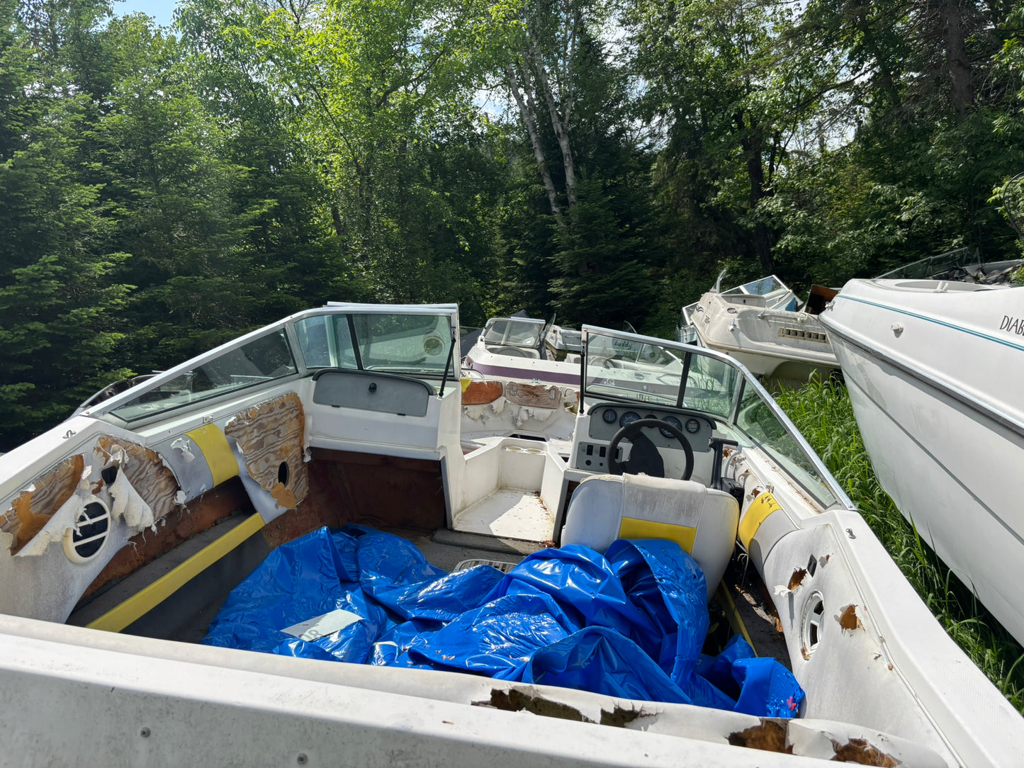 1991 Regal Valanti 170 3-Panel Curved Windshield