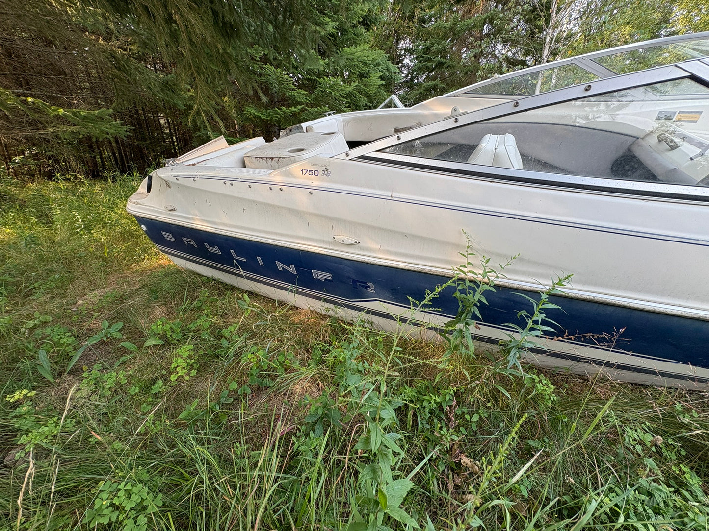 1993 Bayliner 3-Panel Curved Windshield