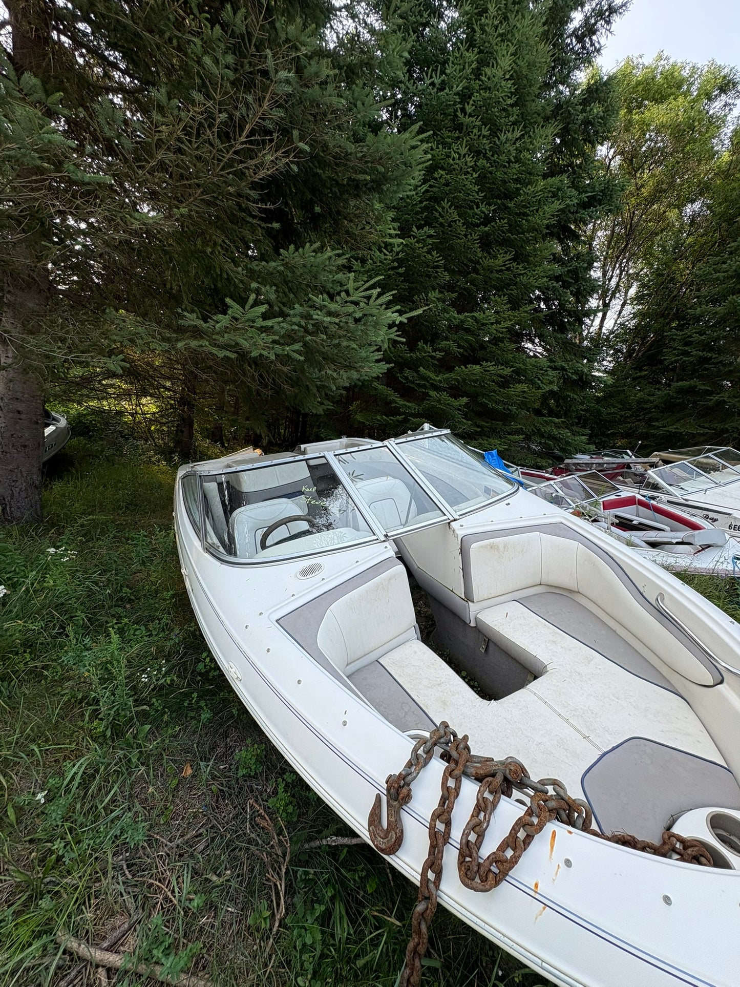 1993 Bayliner 3-Panel Curved Windshield