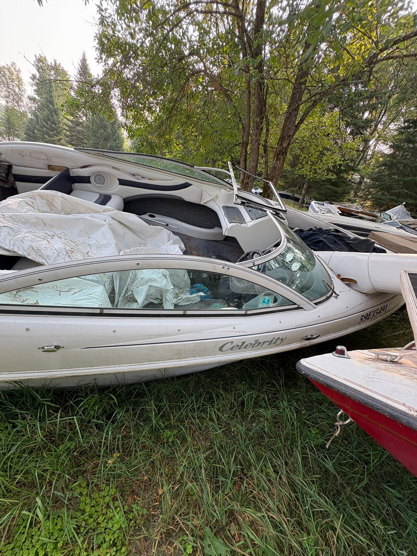 2000 Celebrity 200 3-Panel Curved Windshield