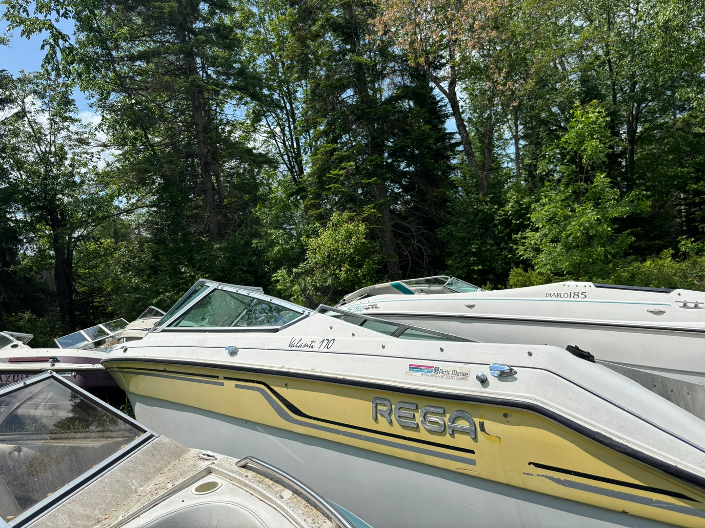 1991 Regal Valanti 170 3-Panel Curved Windshield