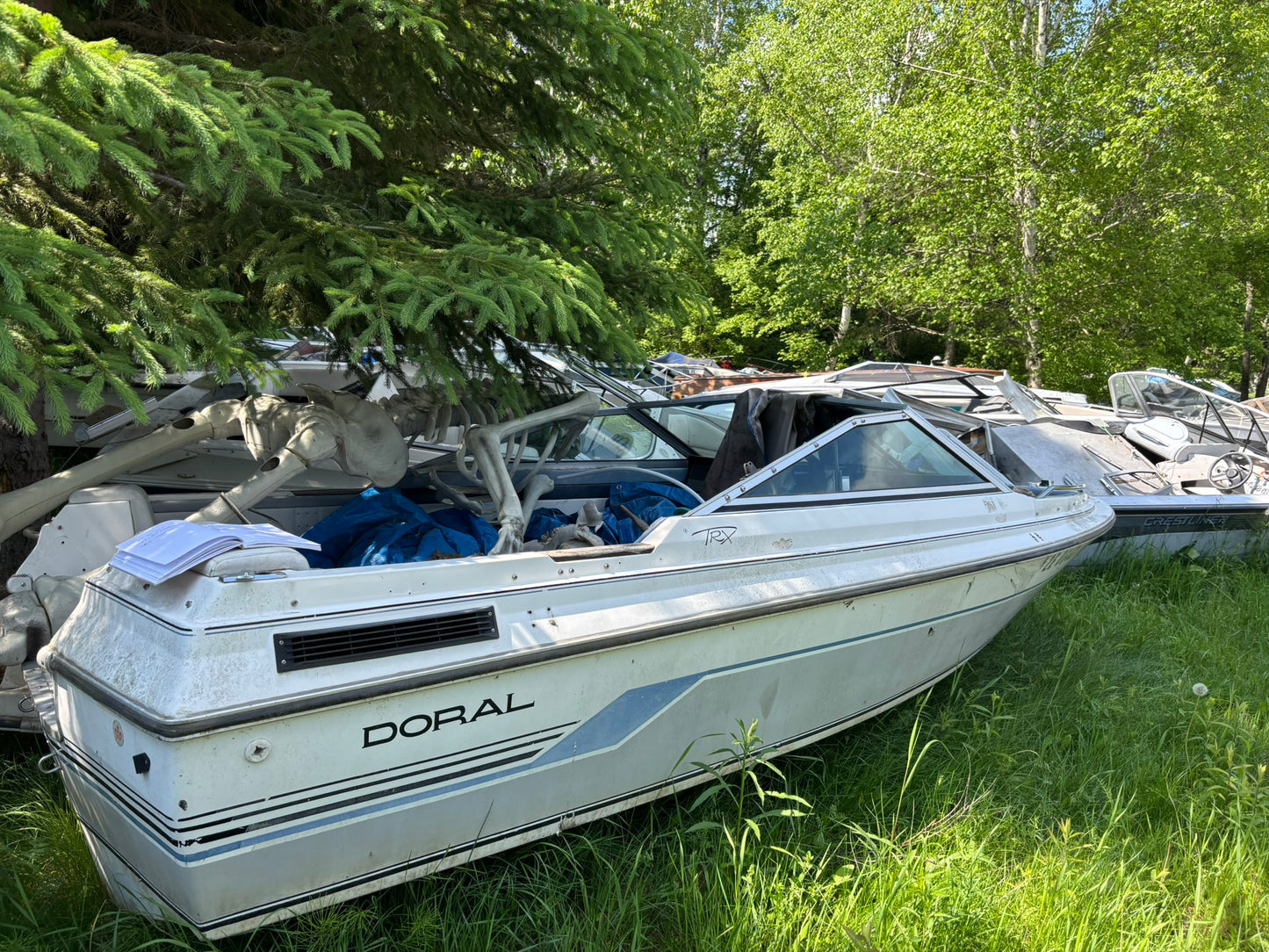 1993 Doral TRX 3-Panel Windshield